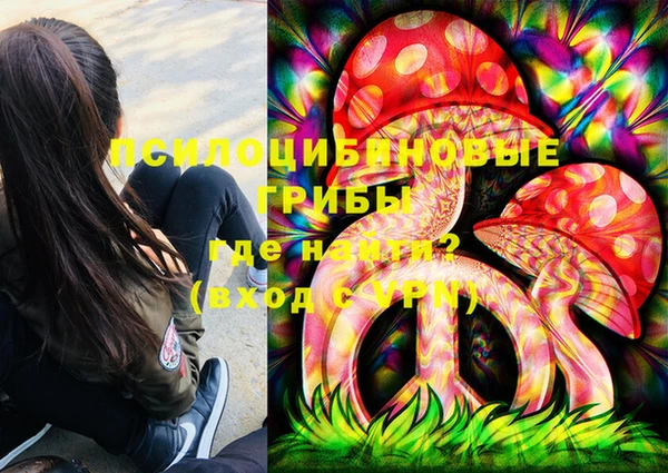 MDMA Няндома